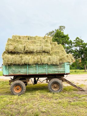 Kurumuş çimen balyalarıyla dolu büyük bir karavan. Tarım kavramı.