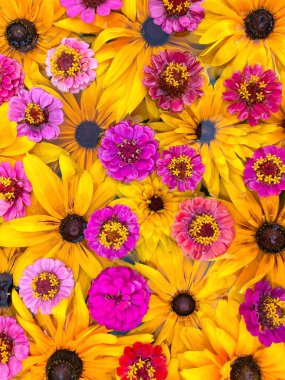 Suda çok renkli parlak çiçekler var. Çiçek arkaplan. Boş alan. Kavramsal sembol.