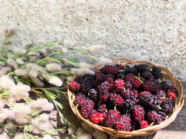 Soyut bir zemin üzerinde hasır sepetin içinde olgun siyah dut..