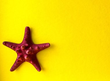 Soyut sarı bir zemin üzerinde parlak bir denizyıldızı. Boş alan..