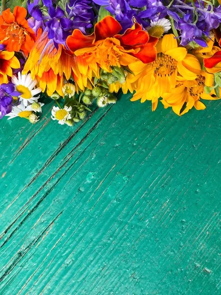 Helle Sommerliche Bunte Wildblumen Auf Einem Abstrakten Grünen Holzuntergrund Freiraum — Stockfoto