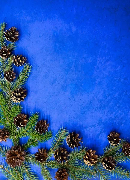 Feestelijke Kerstachtergrond Veenboomtakken Met Kegels Een Helderblauw Abstract Oppervlak Vrije — Stockfoto