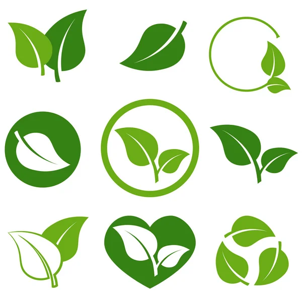 Fresh Green Leaves Icon Set Isolated White Background Green Leaf — Stock Vector