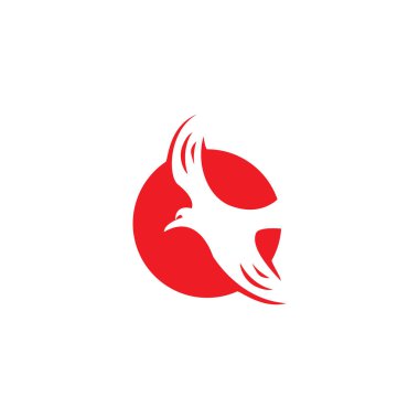 Falcon Eagle Bird logo şablon vektörü