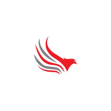 Falcon Eagle Bird logo şablon vektörü