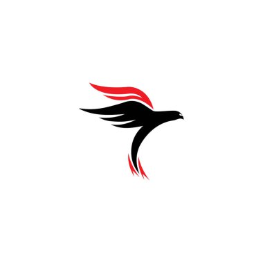 Falcon Eagle Bird logo şablon vektörü