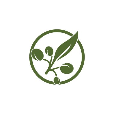 Zeytin logosu şablon vektör resimleme tasarımı