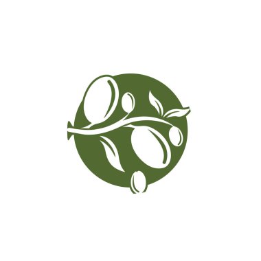 Zeytin logosu şablon vektör resimleme tasarımı