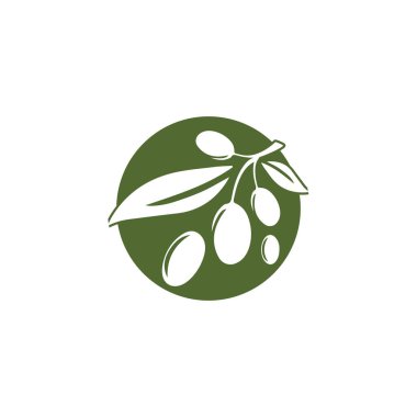 Zeytin logosu şablon vektör resimleme tasarımı