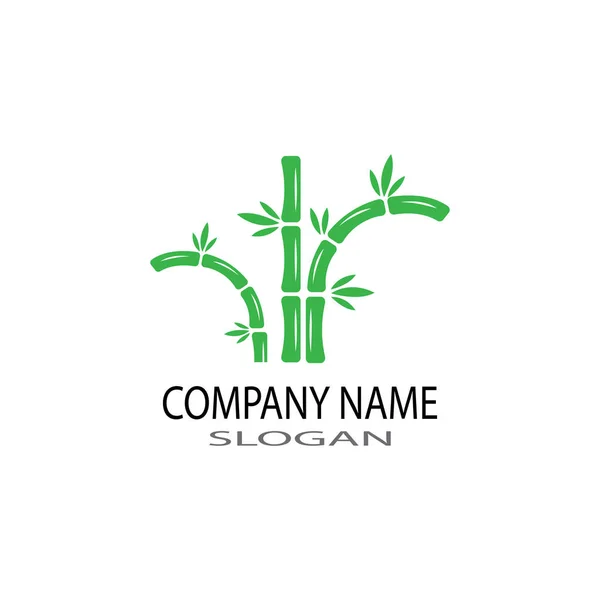 Bambus-Logo mit grünem Blatt-Vektor-Symbol-Vorlage — Stockfoto