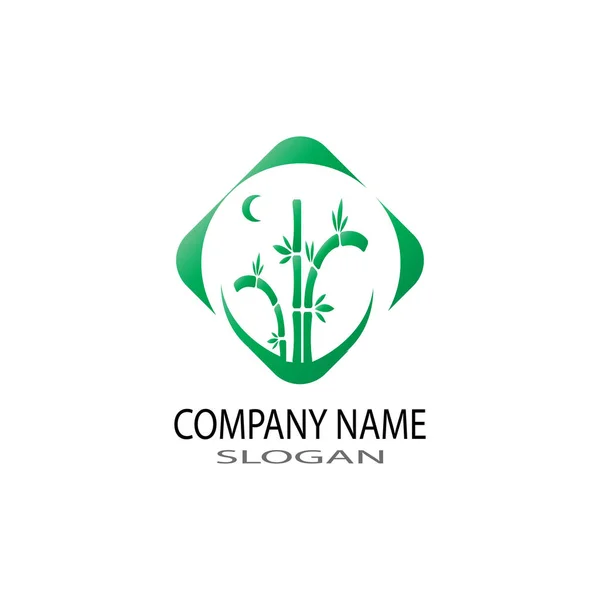 Bambus logo z zielonym liść wektor ikona szablonu — Zdjęcie stockowe