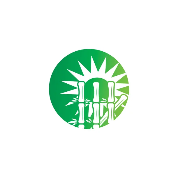 Logotipo de bambú con plantilla de icono de vector de hoja verde — Foto de Stock