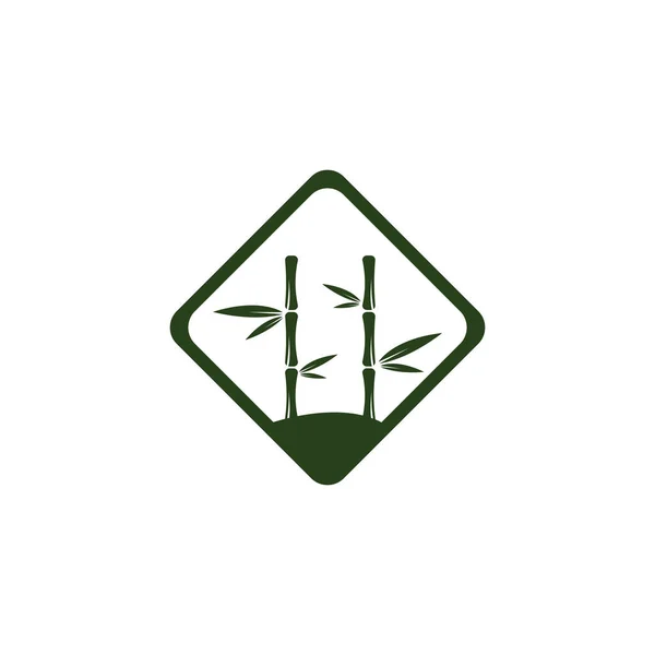 Logotipo de bambú con plantilla de icono de vector de hoja verde — Foto de Stock