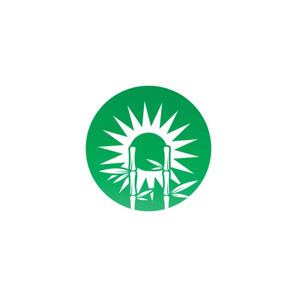 Logotipo de bambú con plantilla de icono de vector de hoja verde — Foto de Stock