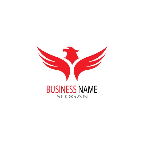 Falcon eagle bird logo template vector — Stock Photo, Image