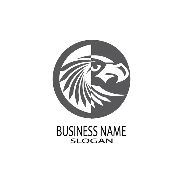 Falcão águia pássaro logotipo modelo vetor — Fotografia de Stock