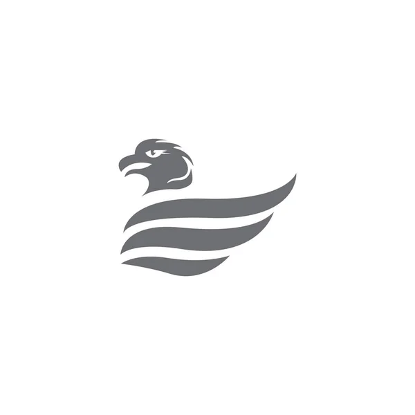 Halcón águila pájaro logotipo plantilla vector —  Fotos de Stock
