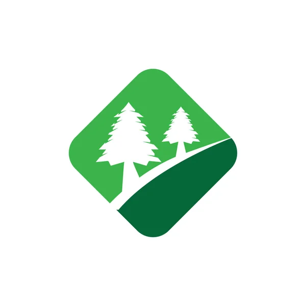 Sosna drzewo logo ilustracja wektor projekt — Zdjęcie stockowe