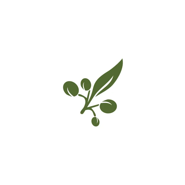 Olive logó sablon vektor ikon illusztráció tervezés — Stock Fotó