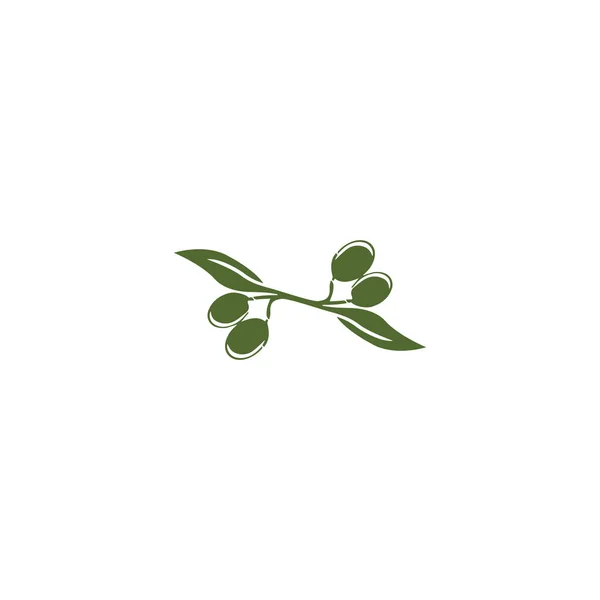 Olive logo modèle vectoriel icône illustration design — Photo