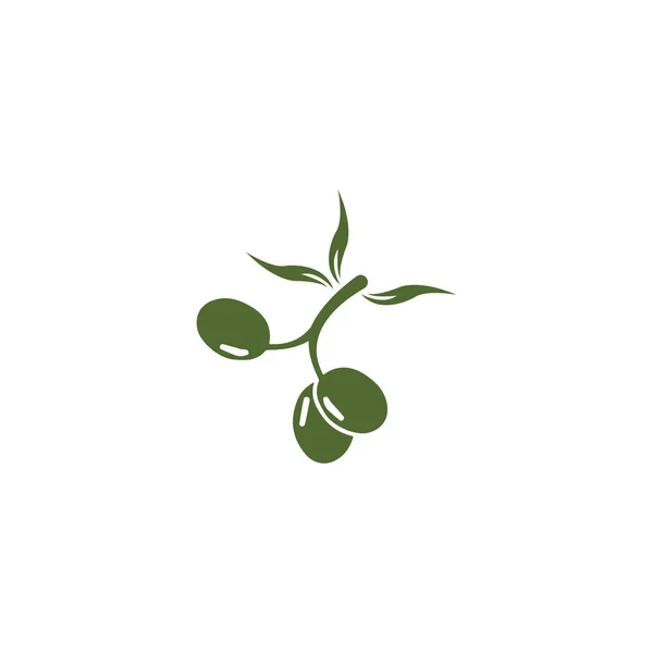 Дизайн векторных иконок оливкового логотипа — стоковое фото
