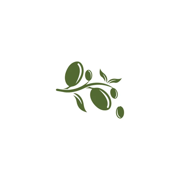 Olive logo szablon wektor ikona ilustracja projekt — Zdjęcie stockowe
