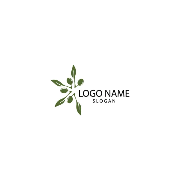 Olive logotyp mall vektor ikon illustration design — Stockfoto