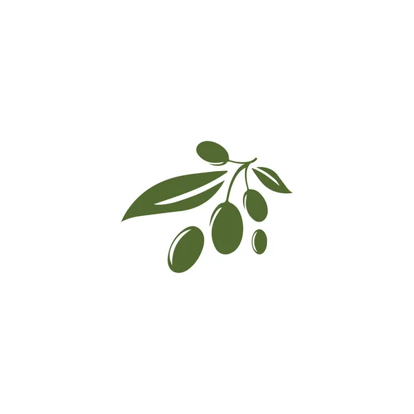 Olive logotyp mall vektor ikon illustration design — Stockfoto