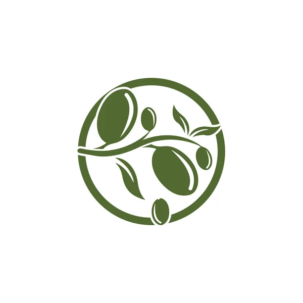 Olive logo plantilla vector icono ilustración diseño — Foto de Stock