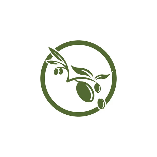 Olive logo plantilla vector icono ilustración diseño — Foto de Stock