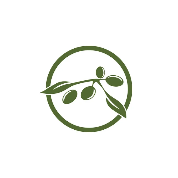 Návrh vektorové ikony šablony loga oliv — Stock fotografie