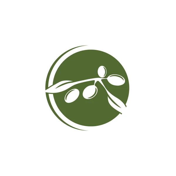 Olive logo szablon wektor ikona ilustracja projekt — Zdjęcie stockowe