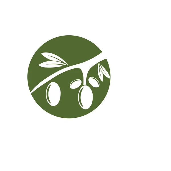 Olive Logo Vorlage Vektor Symbol Illustration Design — Stockfoto