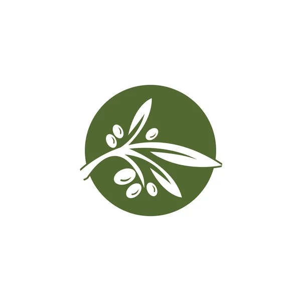 Návrh vektorové ikony šablony loga oliv — Stock fotografie