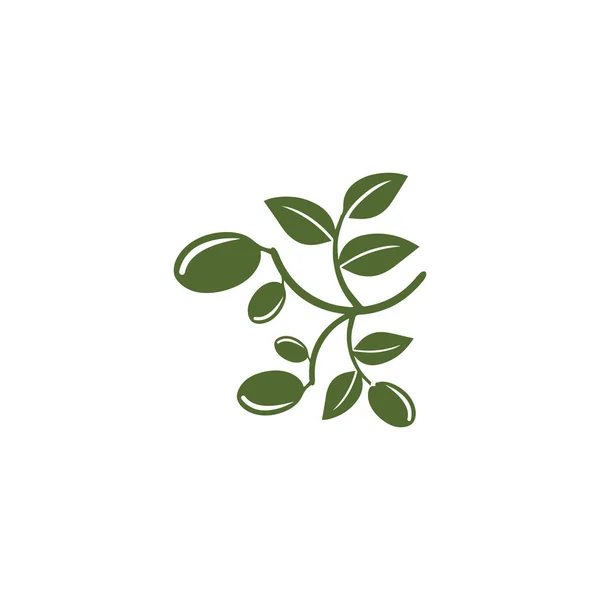 Дизайн векторных иконок оливкового логотипа — стоковое фото