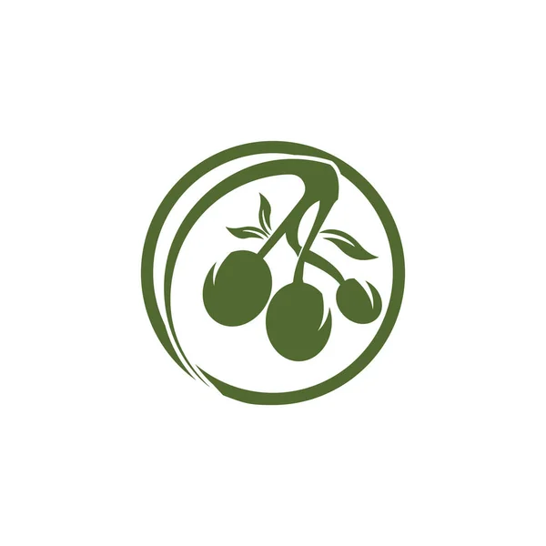 Olive logo modèle vectoriel icône illustration design — Photo