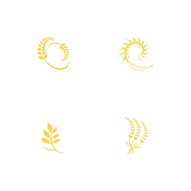 Tarım buğday logosu vektör ikonu tasarımı