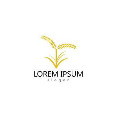 Tarım buğday logosu vektör ikonu tasarımı