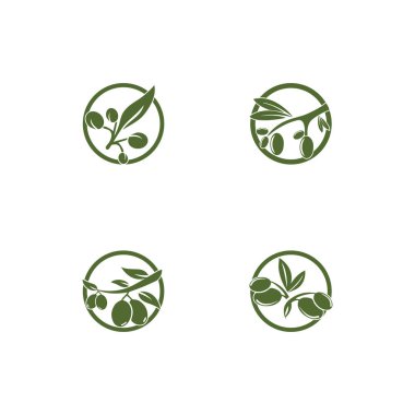 Zeytin logosu şablon vektör resimleme tasarımı