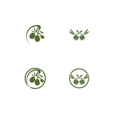 Zeytin logosu şablon vektör resimleme tasarımı