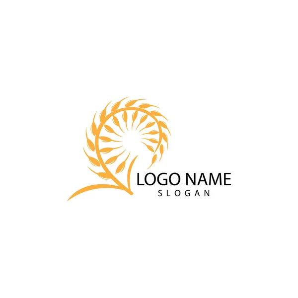 Landbouw tarwe logo template vector pictogram ontwerp — Stockfoto