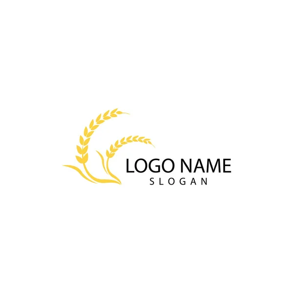 Agricultura trigo logotipo plantilla vector icono diseño — Foto de Stock