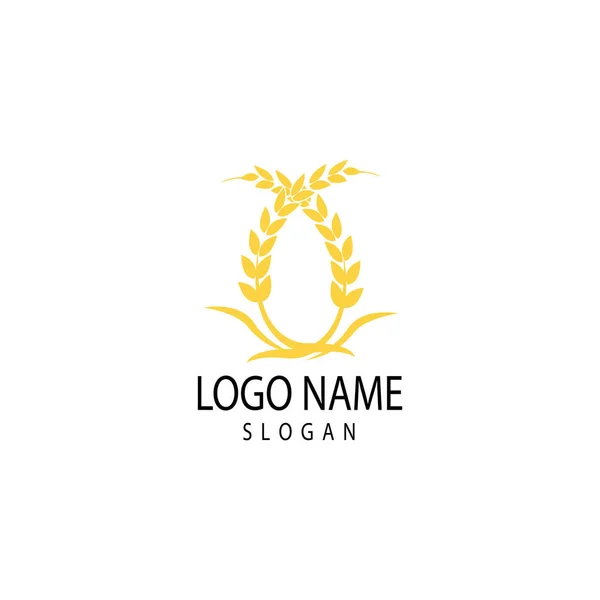 Landbouw tarwe logo template vector pictogram ontwerp — Stockfoto