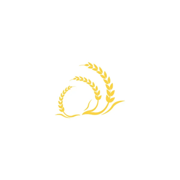 Mezőgazdaság búza logó sablon vektor ikon tervezés — Stock Fotó