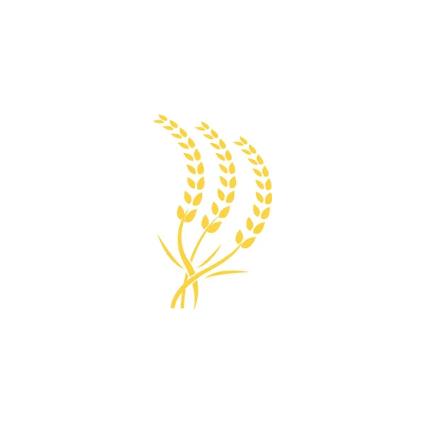 Rolnictwo pszenica logo wzór wektor ikona projekt — Zdjęcie stockowe