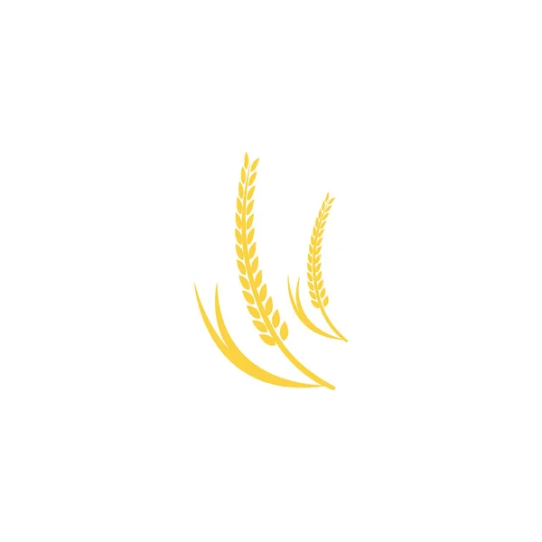Rolnictwo pszenica logo wzór wektor ikona projekt — Zdjęcie stockowe