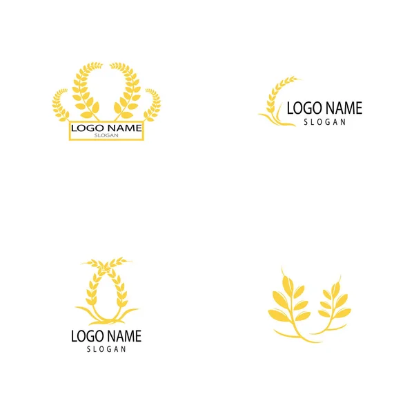 Landbouw tarwe logo template vector pictogram ontwerp — Stockfoto
