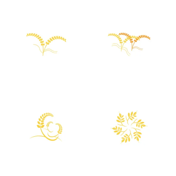Сільське господарство пшениця Логотип Шаблон Векторний дизайн значка — стокове фото