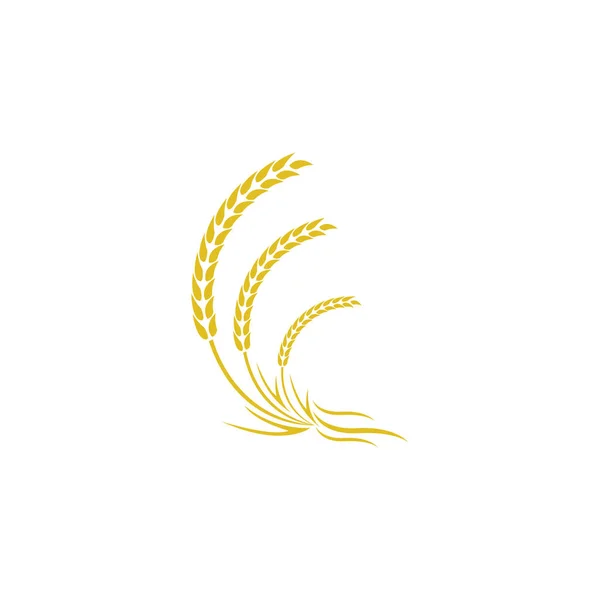 Сільське господарство пшениця Логотип Шаблон Векторний дизайн значка — стокове фото