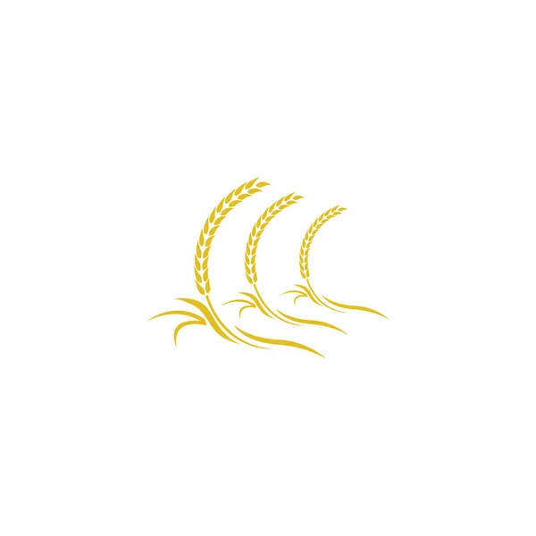 Agricultura trigo logotipo plantilla vector icono diseño —  Fotos de Stock